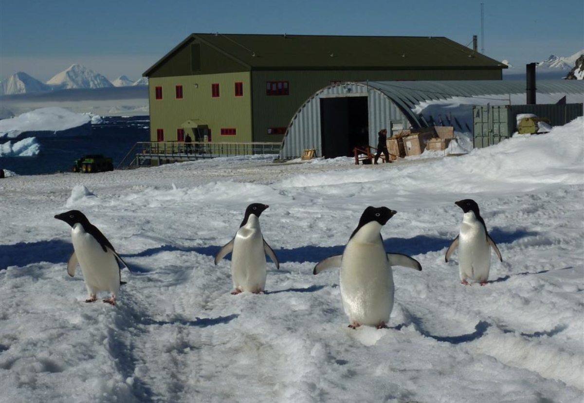 BAM Nuttall wins Antarctic research base revamp | Construction Enquirer ...