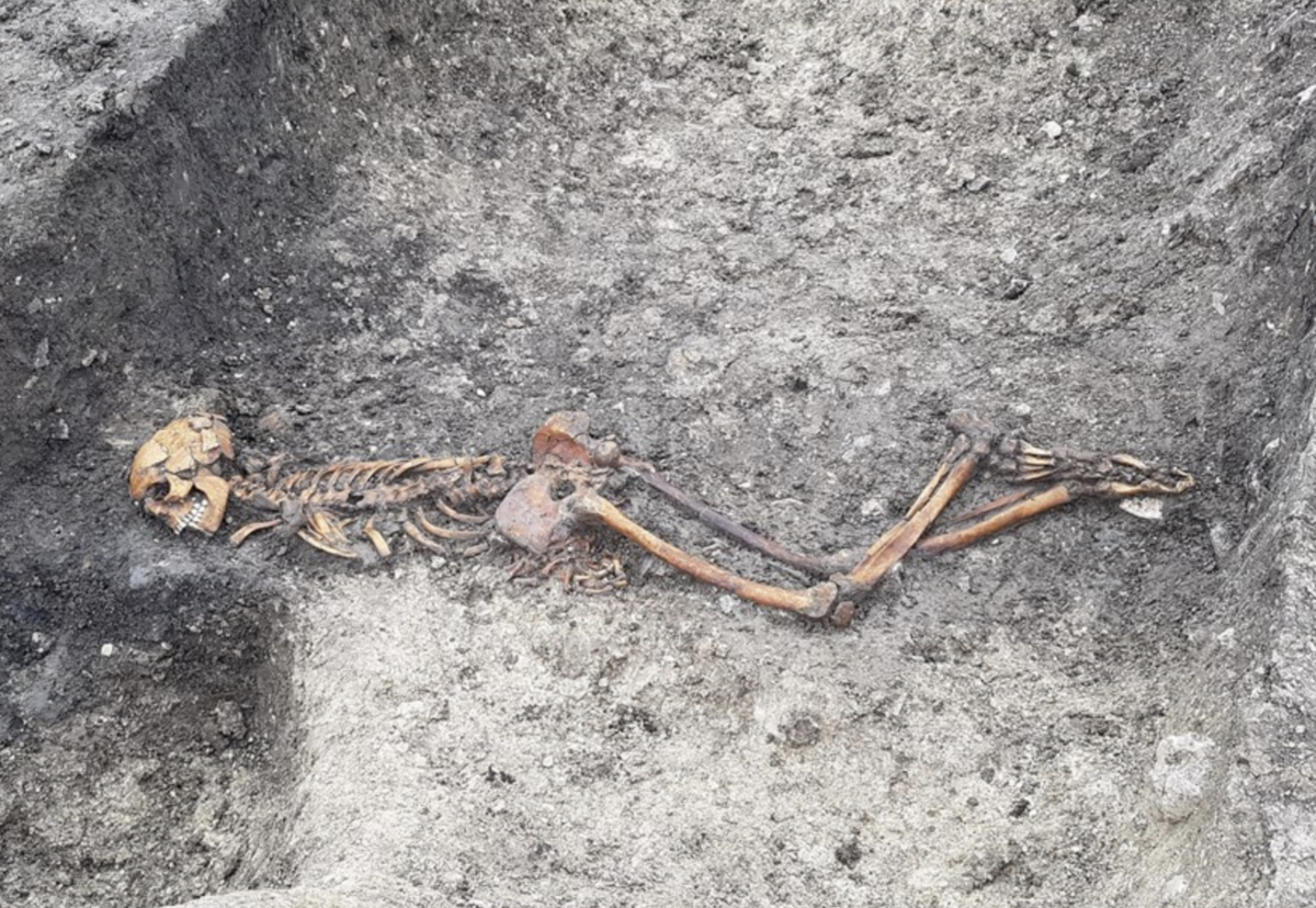 Skeleton of Iron Age man buried face down in a ditch with bound hands